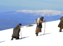 The Way Back (2011)