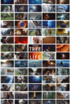 Tree of Life poster