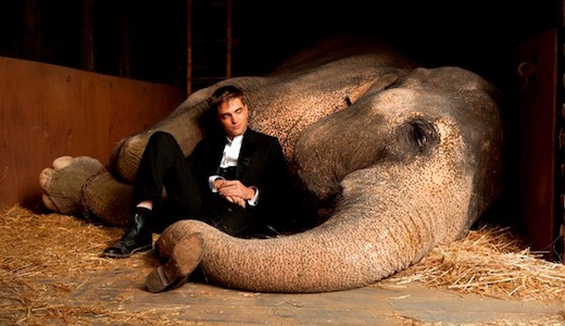 Water for Elephants - Robert Pattinson (left)