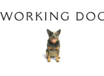 Working Dog Productions Logo