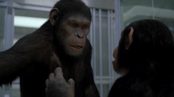 RISE OF THE PLANET OF THE APES
