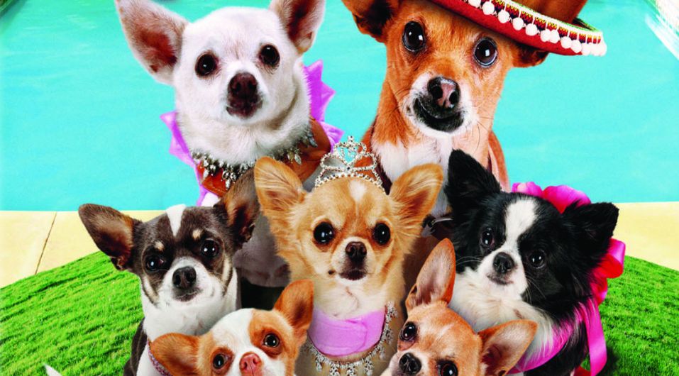 what are the dogs names in beverly hills chihuahua
