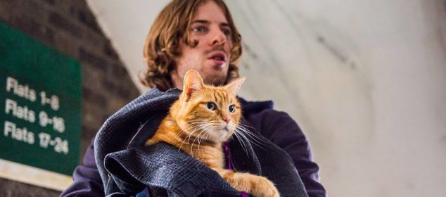 Luke Treadaway (James). Director and Co-producer Roger Spottiswoode. Producer Adam Rolston of Shooting Script Films. Screenplay adapted by Tim John and Maria Nation; based on the International Best Selling book A Street Cat Named Bob.