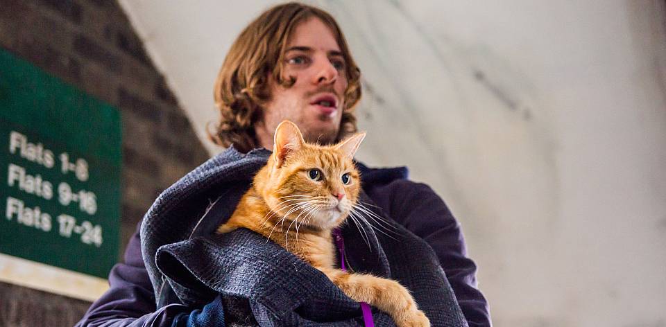 Luke Treadaway (James). Director and Co-producer Roger Spottiswoode. Producer Adam Rolston of Shooting Script Films. Screenplay adapted by Tim John and Maria Nation; based on the International Best Selling book A Street Cat Named Bob.