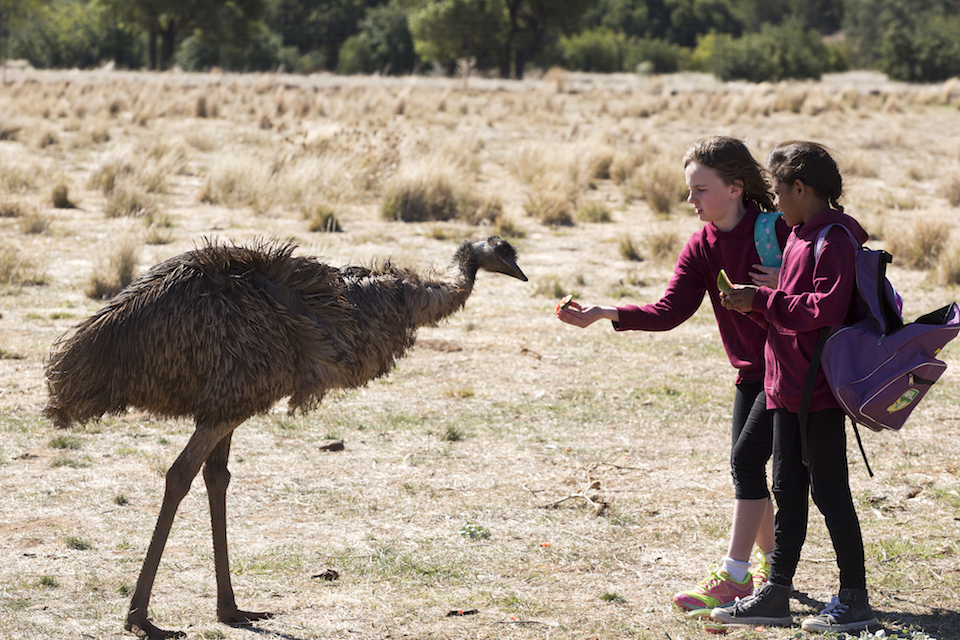 Emu Runner Feature Film 2017