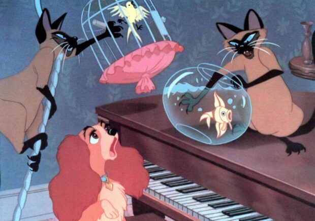 The Siamese cats Si and Am performing ‘We Are Siamese’ in Lady and the Tramp (1955), an example of problematic cultural depictions.