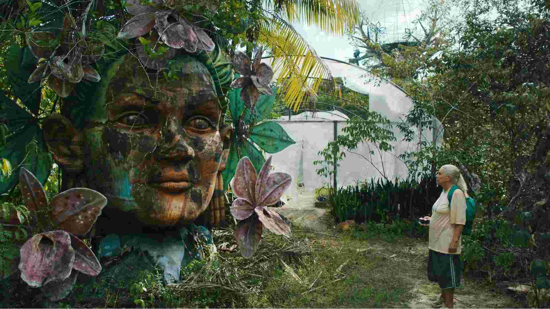 Review: The Blue Trail