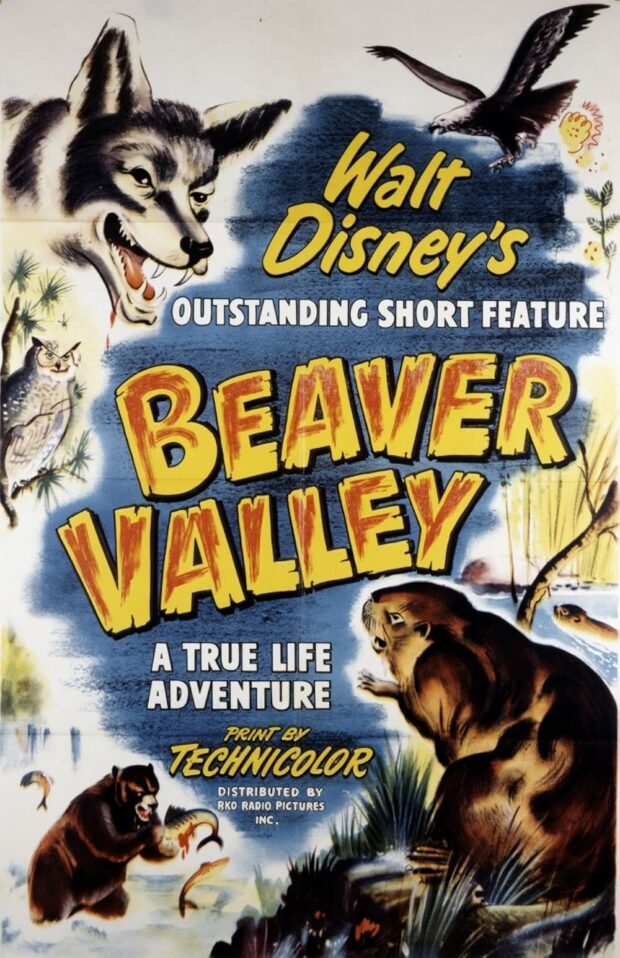 In Beaver Valley (Disney) poster
